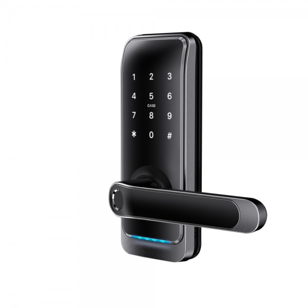 H15-TB Smart Door Lock