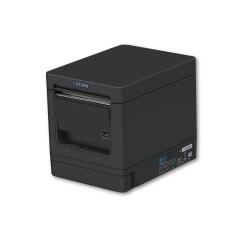 Citizen Fiscal ΙIΙ Citizen Fiscal ΙIΙ