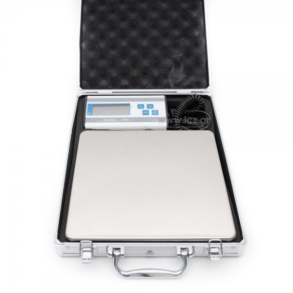 P3150 Portable Platform Scale