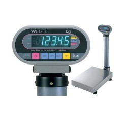 IGB Digital platform scale IGB Digital platform scale